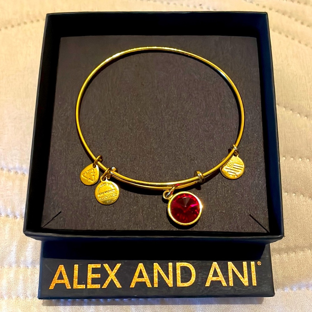 Alex and Ani bracelet
